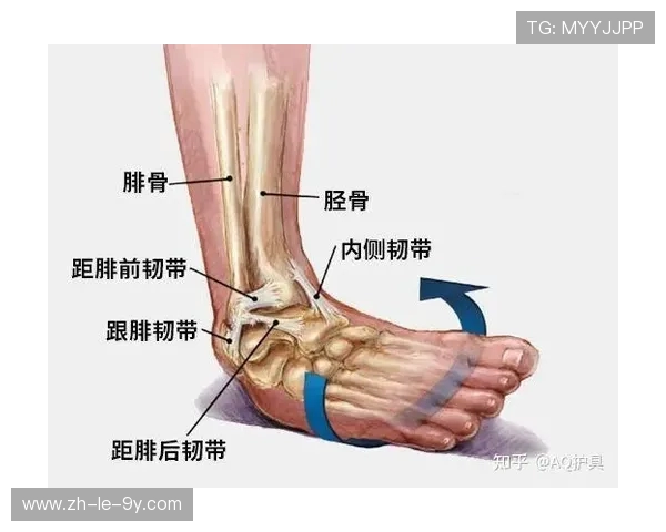 足球小腿弯折动作解析图解及其对运动员受伤预防的意义